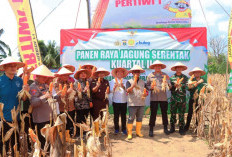Ketua DPRD Lamteng: Kesejahteraan Petani Kunci Swasembada Pangan