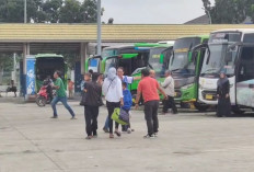 Jumlah Penumpang Terminal Rajabasa Meningkat 5 Persen 