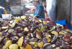  Harga Jengkol Tembus Rp100.000 per Kg