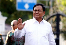 Presiden Prabowo Tegaskan Politik Bersahabat dengan Semua Negara dalam Peresmian KEK Industropolis