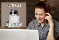 Peran Meme sebagai Senjata Rahasia Mengatasi Stres dan Anxiety