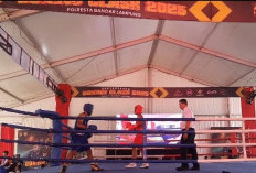 303 Petinju Muda Ikui Bhayangkara Boxing Clash,  Ajang Minimalisir Kenakalan Remaja 