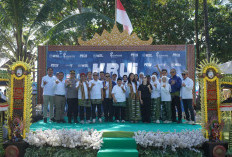 Good Job! PLN Sukses Kawal Kelistrikan WSL Krui Pro 2025 Tanpa Kedip
