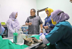Rumah Sakit Hewan Provinsi Lampung, Dibangun 2024 dan Operasional 2025