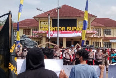 Polemik Bakal Calon Sekda Lamtim Memanas, Warga Tuntut Bupati Tidak Impor Pejabat