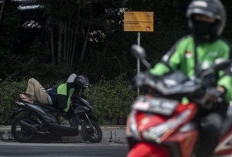  Presiden Diminta Teken Perpres  Perlindungan Pekerja Platform