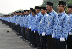 Wamendagri Soroti Pentingnya Pengawasan dalam Kebijakan WFA ASN