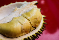 Jangan Khawatir Lagi Mabuk Durian, Ini 8 Cara Efektif Mengatasinya