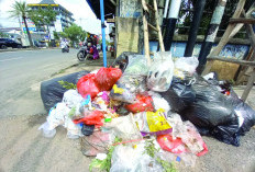 DLH Bandar Lampung Terkesan Salahkan Masyarakat, Klaim Masih Edukasi Soal Buang Sampah 