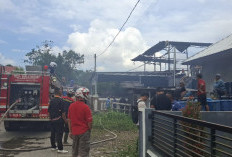 Rumah Panggung Terbakar di Lampung Barat, Tiga Mobil Pemadam Dikerahkan 