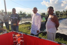 Itera Kembangkan Prototipe Teknologi Tambak Udang Cerdas