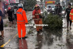 Cuaca Tak Menentu, BPBD Pringsewu Imbau Warga Waspada 