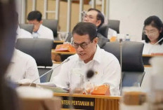 Satgas Pangan Periksa 10 Produsen Beras Nakal
