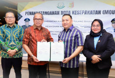 Pemkab - Kejari Tuba Jalin Kerja Sama Hukum 