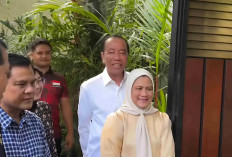 Alergi Kulit Jokowi Belum Pulih, Ajudan Pastikan Kondisi Kesehatan Secara Umum Baik