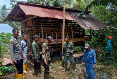 Dua Kambing Dimangsa Beruang di Tanggamus, Polisi Imbau Masyarakat Waspada