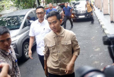 Putusan Bawaslu, Tindakan Gibran Bagi Susu di CFD  Langgar Hukum 