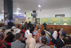 Ruang Lingkup Program Pemutihan PKB 2025 di Lampung 