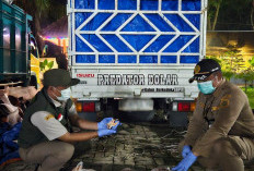 Balai Karantina Lampung Sita 10,8 Ton Ceker Ayam Ilegal