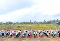 Hari Menanam Pohon Indonesia 2025, PLN Group Provinsi Lampung Tanam Seribu Pohon Energi