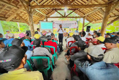Tebu Jadi Harapan Baru Petani Tubaba, Sugar Group Buka Program Kemitraan Berkelanjutan
