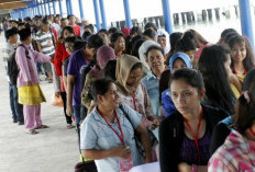 Kadin dan P2MI Buka Pintu Kerja ke Luar Negeri pada 2025