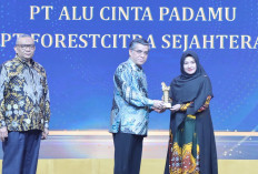 The Real Local Champion, Sambel Alu Harumkan Lampung dengan Prestasi Nasional