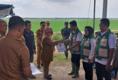  32 ASN Penyuluh Pertanian Mesuji Beralih Status 