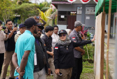 Bawaslu: Partisipasi Pemilih di PSU Boven Digoel Masih Rendah