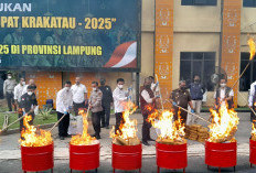 Polda Lampung Musnahkan 163 Kg Ganja dan 68,9 Kg Sabu, Berpotensi Selamatkan 442.117 Jiwa