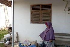  450 Kilo Gabah Hasil Panen Raib Digasak Maling