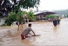 Sempat Surut, Puluhan Rumah di BNS Kembali Terendam Banjir