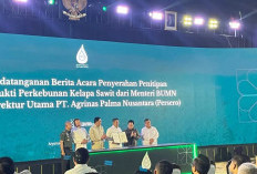  Aset Sitaan 221.000 Ha Lahan Sawit  Diserahkan ke PT Agrinas Palma Nusantara