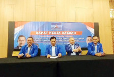 Partai Demokrat Klaim Menang di 12 Pilkada Lampung