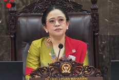 Puan Ingatkan Tren Kasus Influenza A Meningkat