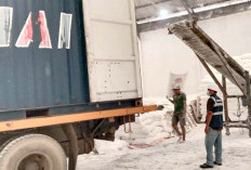 PT. BSSW Ekspor 10 Ribu Ton Tapioka ke Taiwan, Perkuat Posisi di Pasar Internasional
