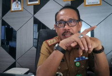 51.630 NIB Diterbitkan, UMKM Dominasi Pertumbuhan Usaha di Bandar Lampung