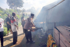 Kasus Demam Berdarah di Kabupaten Pesisir Barat Capai 267 Kasus pada 2024