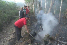 Kebakaran Lahan dan Sawit di Tulangbawang, BPBD Sebut Pemilik Kebun Rugi Ratusan Juta