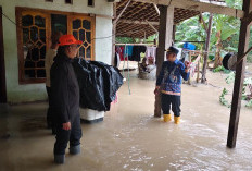 Curah Hujan Tinggi dan Drainase Dangkal Jadi Penyebab Banjir di Mesuji 