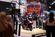 Naik 19 Persen, IIMS 2025 Catatkan Transaksi Rp8 T