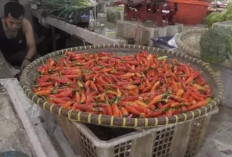 Cabai Rawit, Bensin, dan Tembakau Dorong Deflasi