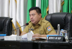 Kemendagri Dorong Percepatan Perizinan Berusaha Daerah, Fokus SDA dan Mal Pelayanan Publik