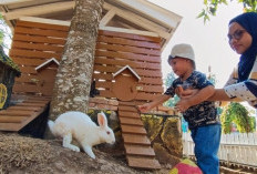 Ajarkan Anak Sayangi Hewan Sejak Dini di Farm Day Lampung