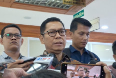 Adies Kadir Bantah Isu Jokowi Rebut Kursi Ketua Umum Golkar