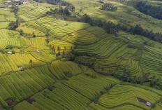 Fraksi Gerindra Dukung Perketat Alih Fungsi Lahan