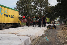 Wali Kota Bandar Lampung Tinjau Perbaikan Jalan Tirtayasa dan Alimuddin Umar