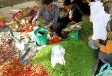 Harga Mahal, Pasokan Cabai Sulit Didapat