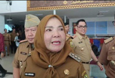  Rute Kereta Gantung Bandar Lampung Dialihkan ke Air Terjun Batu Putu