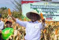  PTPN Diminta Jangan Hanya Profit Oriented